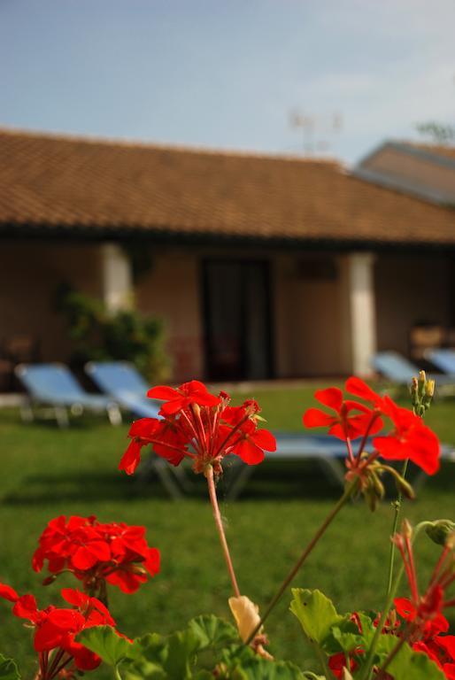 Lefkes Apartments Akharavi Chambre photo